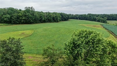 /international/us/hilltop-drive-nw-strasburg-oh-110100799679/