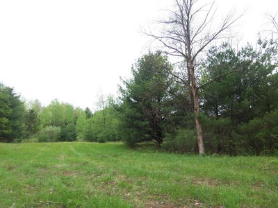 /international/us/county-road-s-sobieski-wi-110108170022/