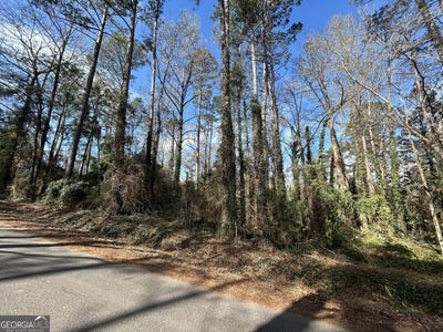 /international/us/samples-road-west-point-ga-110106218898/