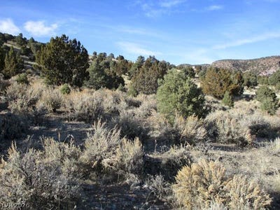 /international/us/nv-hwy-322-10-012-ac-pioche-nv-110107016221/