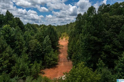 /international/us/deer-ridge-drive-chelsea-al-110085762126/