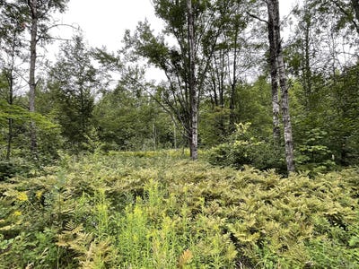 /international/us/snowridge-drive-lot-95-96-elmira-mi-110109757855/