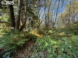 /international/us/ocean-st-tillamook-or-110103010470/