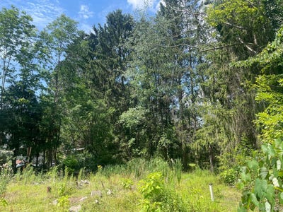 /international/us/33-dudley-street-harveys-lake-pennsylvania-pa-110098279611/