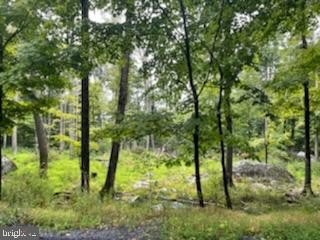 /international/us/115-falcon-crest-greentown-pa-110107163317/