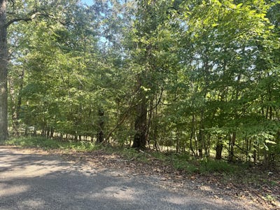 /international/us/channel-drive-lot-123-murray-ky-110110365261/