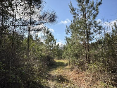 /international/us/15-5-ac-snider-avenue-al-110108582371/