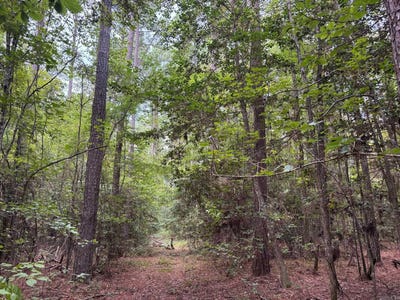/international/us/19-12s-16w-ouachita-co-ar-camden-ar-110101516082/?lang=en