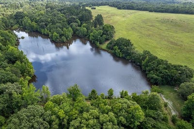 /international/us/0-hwy-31-brownsboro-tx-110098056203/