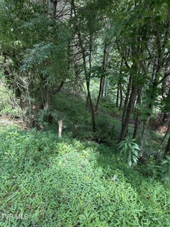 /international/us/lot-9-laurelwood-lane-mountain-city-tn-110100585965/