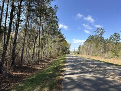 /international/us/a1-snider-avenue-al-110106721115/