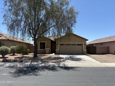 /international/us/24775-w-dove-trail-buckeye-az-110108725172/