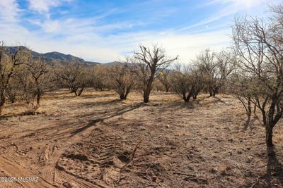 /international/us/137-three-r-avenue-patagonia-az-110108391728/