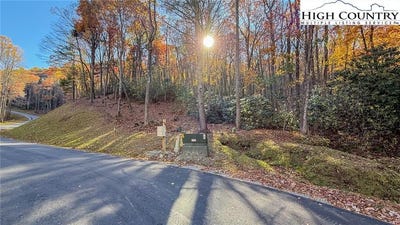 /international/us/tbd-lot-170-wildcat-wilderness-parkway-deep-gap-nc-110103398145/