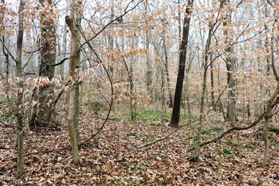 /international/us/00-canaan-circle-hillsborough-nc-110096857923/