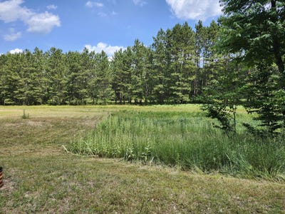 /international/us/6389-s-woods-trail-road-custer-mi-110100683673/