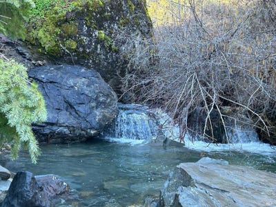 /international/us/9000-spyrock-road-laytonville-ca-110105325313/