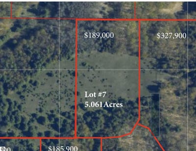 /international/us/lot-7-e-bellinger-road-cedar-mi-110099690671/