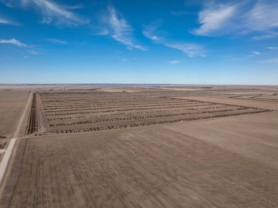 /international/us/cr-86-hemingford-ne-110106551961/