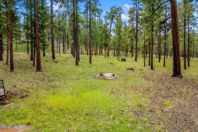 /international/us/16-n1062-greer-az-110106949065/