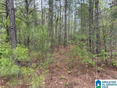 /international/us/county-road-806-lot-0-wedowee-al-110107088168/