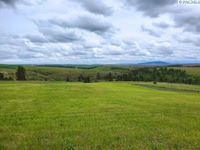 /international/us/red-tail-ridge-lot-9-colfax-wa-110106127198/