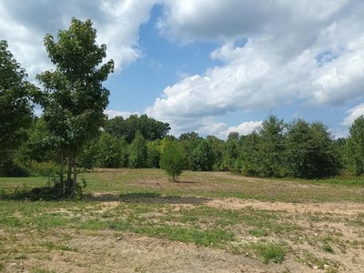 /international/us/4140-bull-creek-road-nathalie-va-110105201073/
