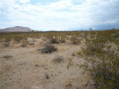 /international/us/2345-sunny-sands-drive-joshua-tree-ca-110102622275/