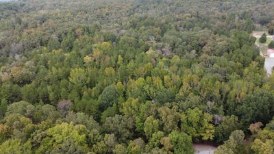/international/us/heath-lane-greenbrier-ar-110109604200/