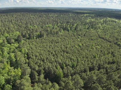 /international/us/1-w-ouachita-hwy-7-ouachita-ar-110098248306/