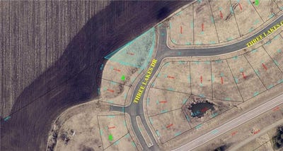 /international/us/290-three-lakes-drive-madison-lake-mn-110100033234/?lang=zh-tw