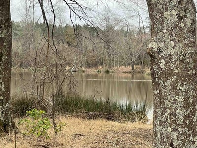 /international/us/34n33-16-21-us-highway-82-magnolia-ar-110107506061/