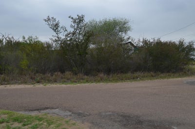 /international/us/5105-grande-lane-zapata-tx-110107439632/