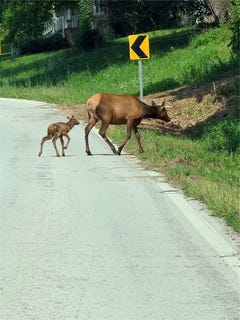 /international/us/19874-ar-21-highway-ponca-ar-110108936230/
