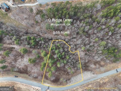 /international/us/ridge-drive-morganton-ga-110106497656/