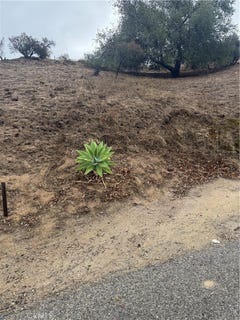 /international/us/9814-redmont-ave-tujunga-ca-110097263125/?lang=zh-tw