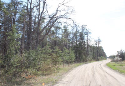 /international/us/4489-pine-road-lewiston-mi-110108234549/