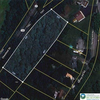 /international/us/chestnut-street-hereford-twp-pa-110103168664/