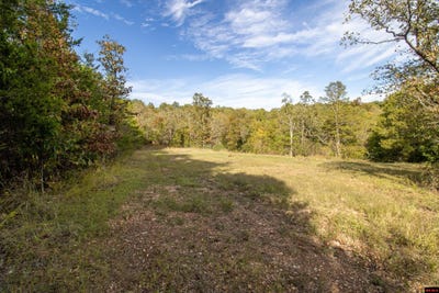 /international/us/002-11022-055-cr-1420-lot-tract-b-mountain-home-ar-110120156845/