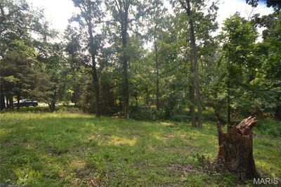 /international/us/0000-mckinney-chapel-road-marion-il-110100050785/