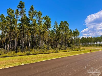 /international/us/morgans-branch-lot-11-molino-fl-110102665884/