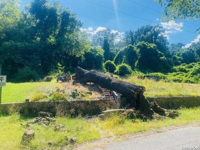 /international/us/207-robin-street-hot-springs-ar-110101146572/