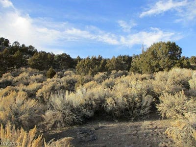 /international/us/nv-hwy-322-9-86-ac-pioche-nv-110107016095/
