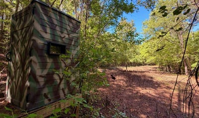 /international/us/alabama-highway-263-minter-al-110120584634/