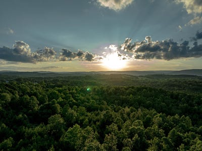/international/us/44-acres-hiwassee-highway-dayton-tn-110100417350/