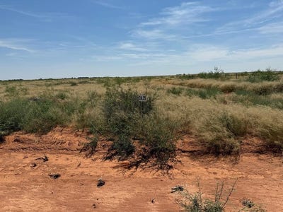 /international/us/1140-se-1620-andrews-tx-110102088980/