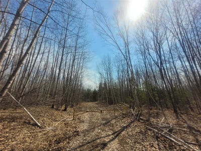 /international/us/on-dean-road-ladysmith-wi-110120586347/