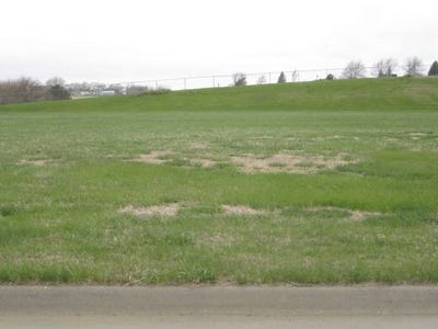 /international/us/408-s-main-st-coleridge-ne-110105052094/