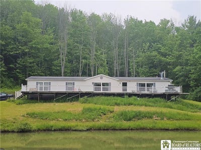/international/us/3937-mcmahon-road-hinsdale-ny-110100072909/
