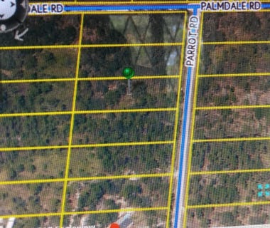 /international/us/parrot-road-n-weeki-wachee-fl-110119929404/